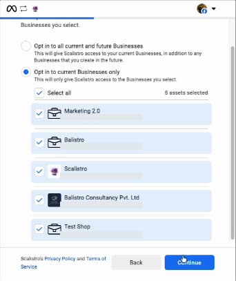 Facebook authorization showing selected businesses and a Continue button.