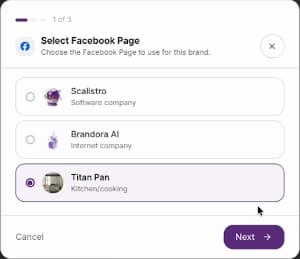 Select Facebook Page dialog with Titan Pan selected and the Next button.